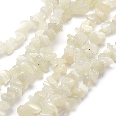 Natural White Moonstone Beads Strands G-P332-01-1
