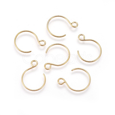 Ion Plating(IP) 304 Stainless Steel Earring Hooks STAS-O119-10G-B-1
