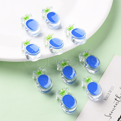 Transparent Enamel Acrylic Beads TACR-S155-002K-1