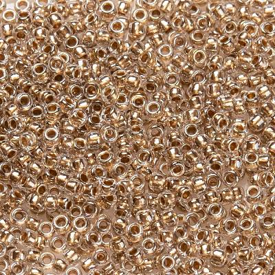 TOHO Round Seed Beads SEED-JPTR15-0989-1