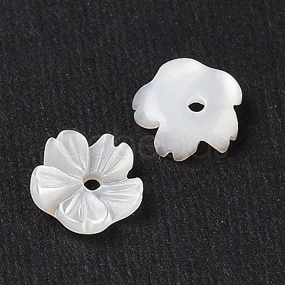 Natural White Shell Beads SSHEL-C012-23A-1