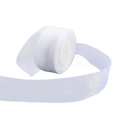 1 Rolls Sheer Organza Ribbon SRIB-CY0001-22C-10-1