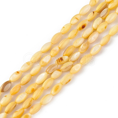 Natural Freshwater Shell Dyed Beads Strands SHEL-M018-13-09-1