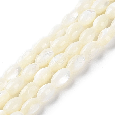 Natural Trochus Shell Beads Strands BSHE-E030-02A-1
