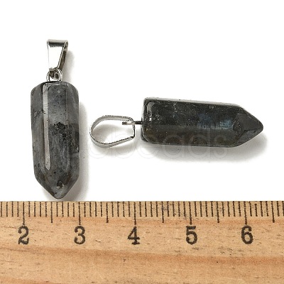 Natural Labradorite Pendants G-Z067-07P-24-1
