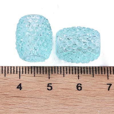 Transparent Resin European Jelly Colored Beads RESI-B025-01A-11-1