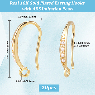 20Pcs Brass Earring Hooks KK-BBC0024-44-1