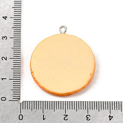 Opaque Resin Pendants CRES-D313-02P-1