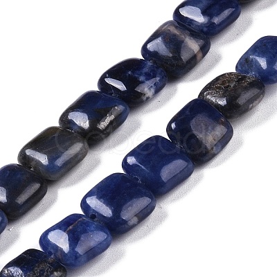 Natural Sodalite Beads Strands G-M435-A07-01-1