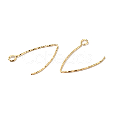 Ion Plating(IP) 316 Stainless Steel Earrings Finding X-STAS-B025-01G-1