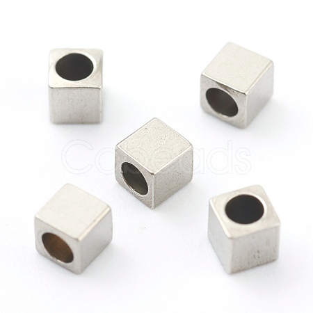 Non-Tarnish 304 Stainless Steel Beads STAS-H160-01D-P-1
