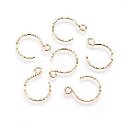 Ion Plating(IP) 304 Stainless Steel Earring Hooks STAS-O119-10G-B-1