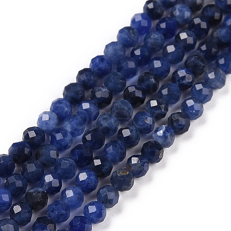 Natural Sodalite Beads Strands G-C009-A07-1