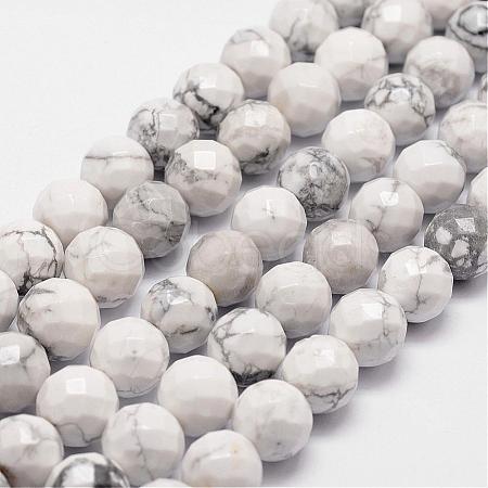 Natural Howlite Beads Strands G-D840-44-6mm-1