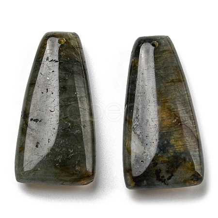 Natural Labradorite Pendants G-M405-11-1